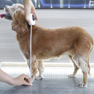 smart pet accessories