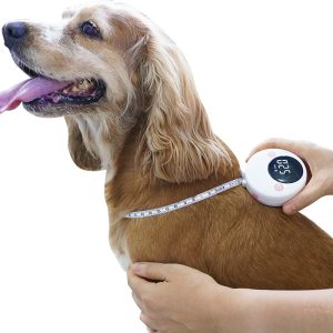 smart pet accessories